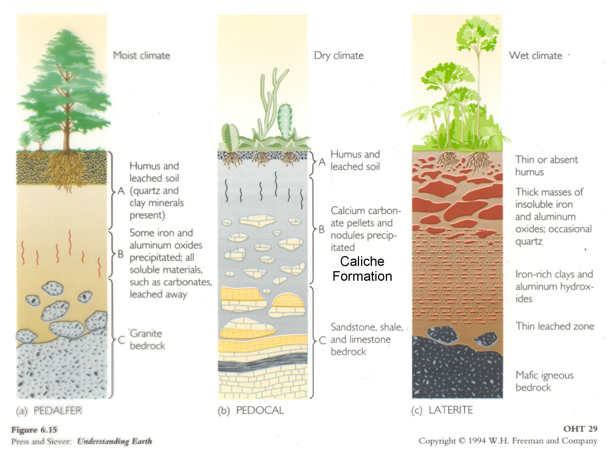 Types of soil in    english   tamil translation and 